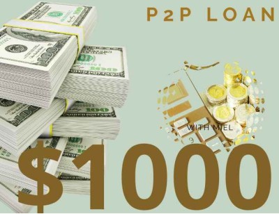 Business/Personal P2P Loan $1000 Diaspora Investment