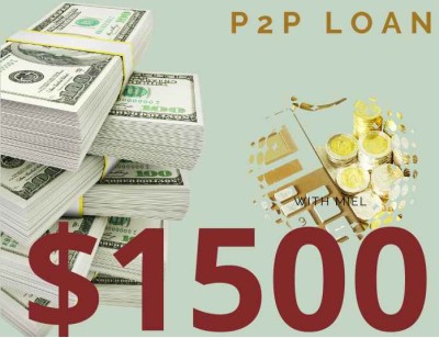 Business/Personal P2P Loan $1500 Diaspora Investment