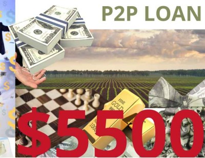 Business/Personal P2P Loan $5500 Diaspora Investment