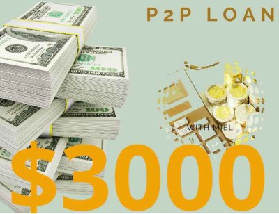 Business/Personal P2P Loan $3000 Diaspora Investment