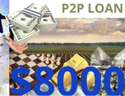 Business/Personal P2P Loan $8000 Diaspora Investment